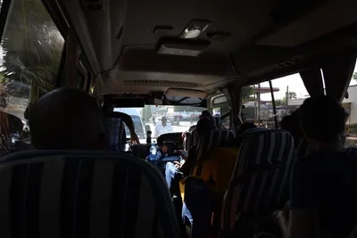 DSC_2662 (Large).JPG